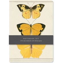 Butterfly Notebook Set - 3 A5 lined notebooks with stitched spinesNotebook / blank book