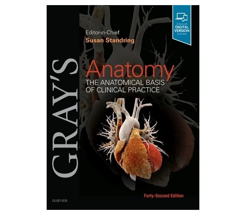 Grays Anatomy