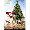 Adventní kalendáře NATURE LAND pro hlodavce Adventní kalendář 360 g