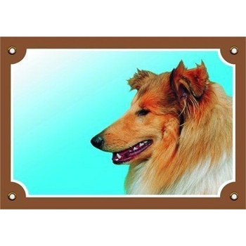 Dafiko Tabulka bearded kolie