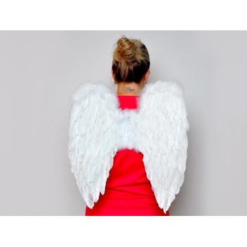 MFP s.r.o. anjelské krídla z peria 50x50cm 8885877