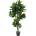 Bizzotto ИЗКУСТВЕНО РАСТЕНИЕ ficus lyrata 190cm (0172637)