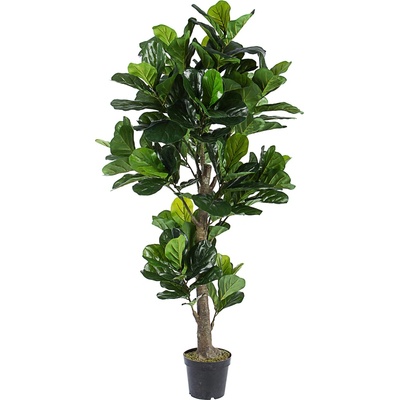 Bizzotto ИЗКУСТВЕНО РАСТЕНИЕ ficus lyrata 190cm (0172637)