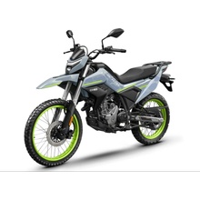 CFmoto 250 Dual Sport Zelená
