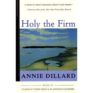 Holy the Firm | Annie Dillard (ISBN: 9780060915438)