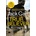 True Believer - Jack Carr