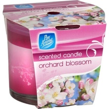 Pan Aroma Orchard Blossom 200g