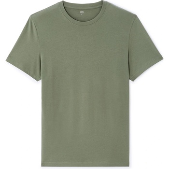 Celio tebase zelené