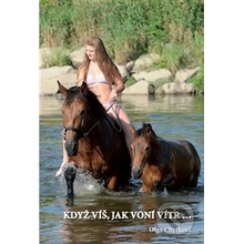 Když víš, jak voní vítr - Olga Chytková