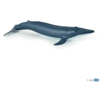 Papo - Фигурка за колекциониране и игра - Син кит (56041)