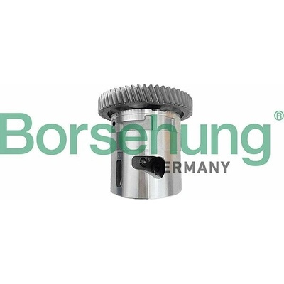 Olejové čerpadlo Borsehung B11905 B11905