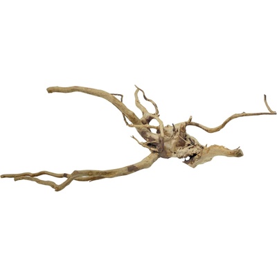 Invital Red moor wood KG 830 g 3607