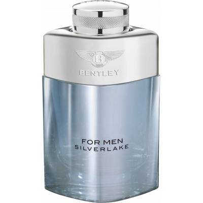 Bentley Silverlake parfumovaná voda pánska 100 ml