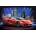 Castorland - Puzzle Arrinera Hussarya 33 - 1 000 piese