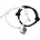 Nefertitis NF38179