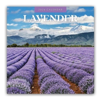 Browntrout Verlags GmbH Lavender - Lavendel 2026 - 16-Monatskalender