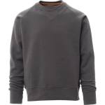 PAYPER mistral+ summer s00540-0358 / Мъжки суитшърт - опушен s (s00540035813007s)