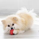 Kong Classic Granát S 7,6 x 4,4 cm