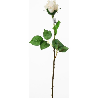 KS RUŽA KRÉM. 54cm