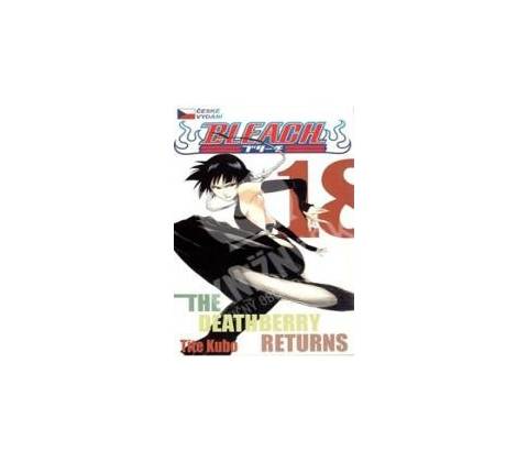 Bleach 18 česky