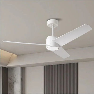 ZEVENTI ZV0024 – Zboží Dáma