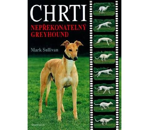Chrti - Mark S. Sullivan