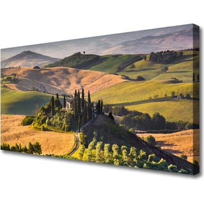 Obraz Canvas Príroda vrchoviny lúky domček 100x50 cm