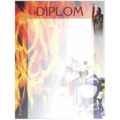 TROFEJE.sk Diplom 19