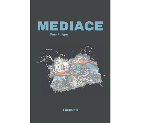 Mediace - Petr Bazger