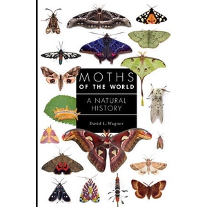 Moths of the World - A Natural History (ISBN: 9780691248288)
