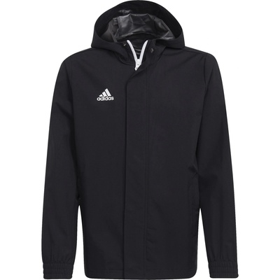 Adidas team Яке Entrada 22 All-Weather