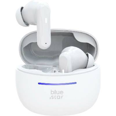 Blue Star TWS model BK44