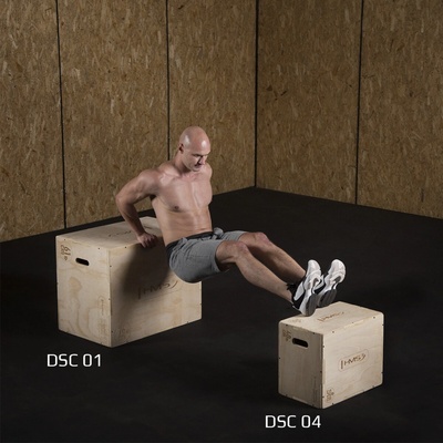 HMS DSC04 PLYO BOX