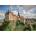 Ravensburger - Puzzle Impressive castles and chateaux: Sigmaringen, Germany - 1 000 piese