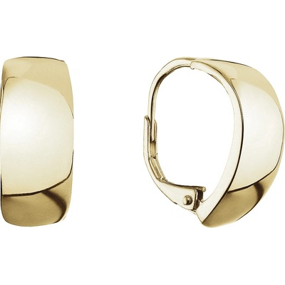 Pavona Pozlacené stříbrné náušnice kruhy 61070