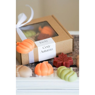 Louky Studio vonné vosky do aroma lampy Cozy Autumn 200 g