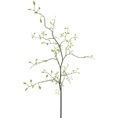 Zomolez (limocera) zelený V95 cm