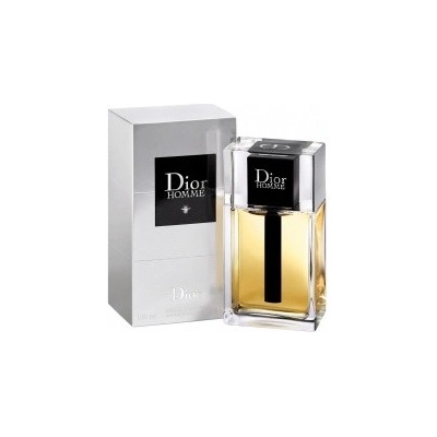 Christian Dior Homme 2020 toaletná voda pánska 100 ml tester