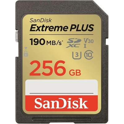 SanDisk Class 10 SDXC 256GB SDSDXWV-256G-GNCIN