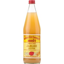 Moštárna Hostětín Mošt jablečný se zázvorem selský 750 ml