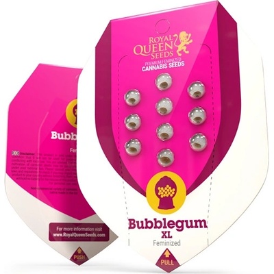 Royal Queen Seeds Bubblegum XL semena neobsahují THC 5 ks – Zboží Mobilmania