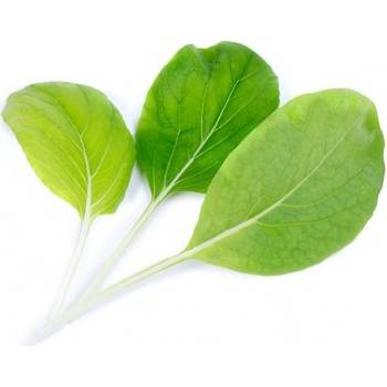 Veritable Вложка за семена Lingot листни зеленчуци Бок Чой зеле (lingot-kapusta-bok)