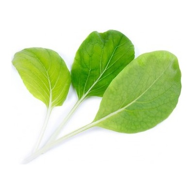 Veritable Вложка за семена Lingot листни зеленчуци Бок Чой зеле (lingot-kapusta-bok)