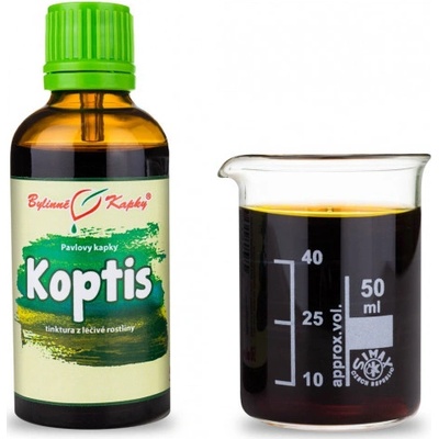 Bylinné kapky Koptis TCM bylinné kapky tinktura z koptisu 50 ml