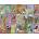 Gibsons - Puzzle British Songbirds - 1 000 piese