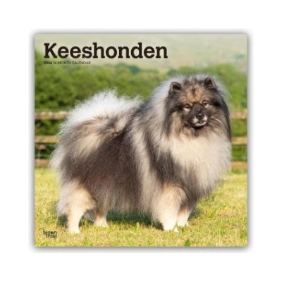 Browntrout Verlags GmbH Keeshonden - Wolfsspitz 2026 - 16-Monatskalender | BrownTrout Publishers Inc