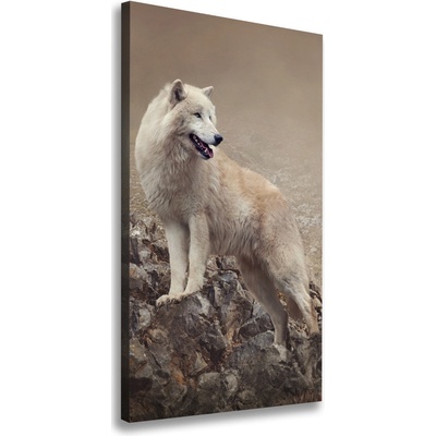 Vertikálny foto obraz canvas Vlk na skale 50x100 cm