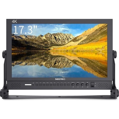 SEETEC P173-9HSD-RM