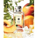 Jo Malone Nectarine Blossom & Honey EDC 100 ml