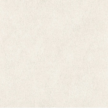 RASCH Влизолинов тапет за стена rasch african queen 423204